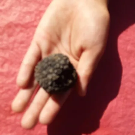 منزل ريفي Agriturismo Fogliani